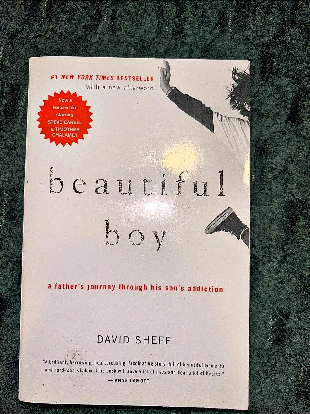 Mariner Books Beautiful Boy: A Father's Journey Through His Son's Addiction